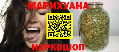 индика Новодвинск