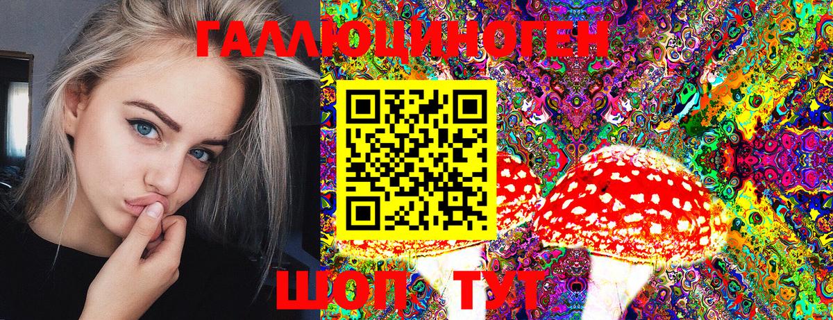 Галлюциногенные грибы Psilocybe  Вход с VPN  Карачаевск 